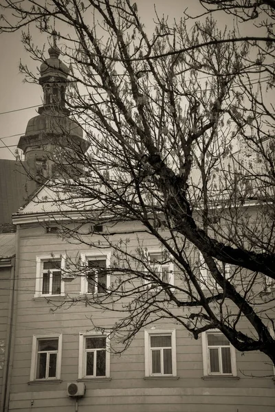 Nádherná Zima Lvov Architektura Ulice — Stock fotografie