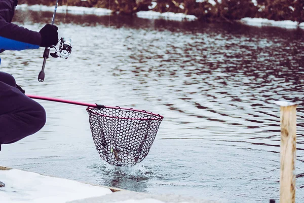 Pesca Truta Lago — Fotografia de Stock