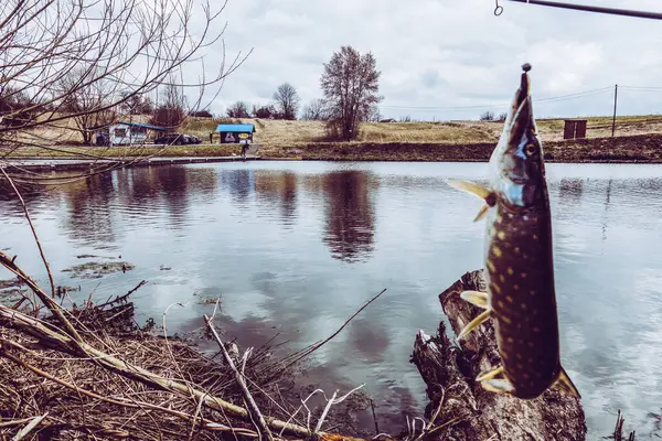 湖を背景に屋外レクリエーション釣り — ストック写真