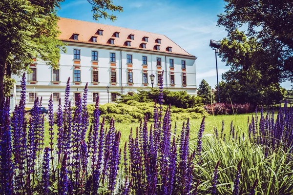 Wroclaw 'ın güzel kiliseleri. Çekicilik, Avrupa 'da seyahat