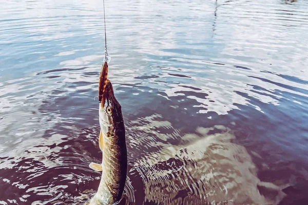 Pesca Descanso Rural Contexto Sobre Tema Recreación — Foto de Stock