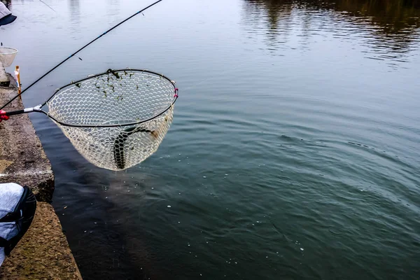 Rybolov Pstruhů Jezeře Sportovní Rybolov Outdoorové Aktivity — Stock fotografie