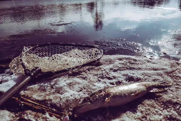 Gäddfiske Sjön — Stockfoto