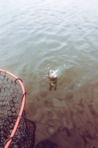 Pesca Esporte Recreação Fundo — Fotografia de Stock