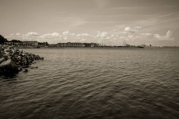Balık yosunlarının güzel sualtı dünyası