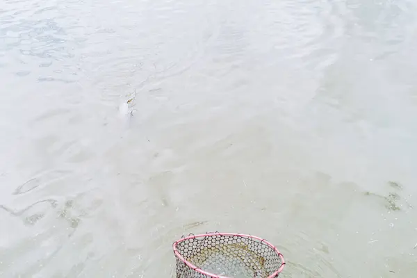 Риболовля Озері Природа Рекреаційний Фон — стокове фото