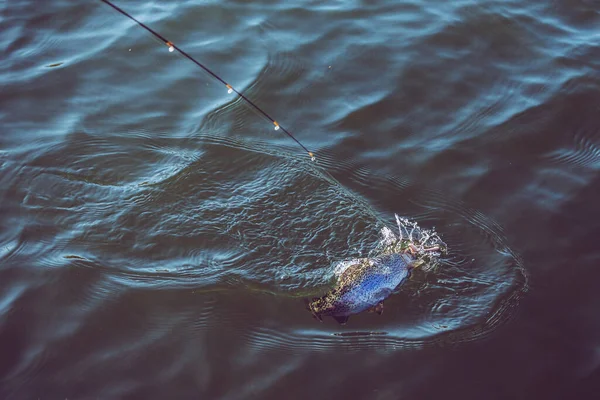 Pesca Alla Trota Sul Lago — Foto Stock