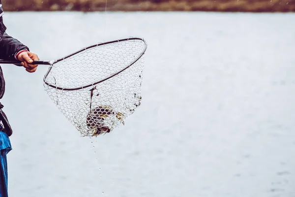 Ψάρεμα Πάικ Στη Λίμνη Αναψυχή Αλιείας — Φωτογραφία Αρχείου