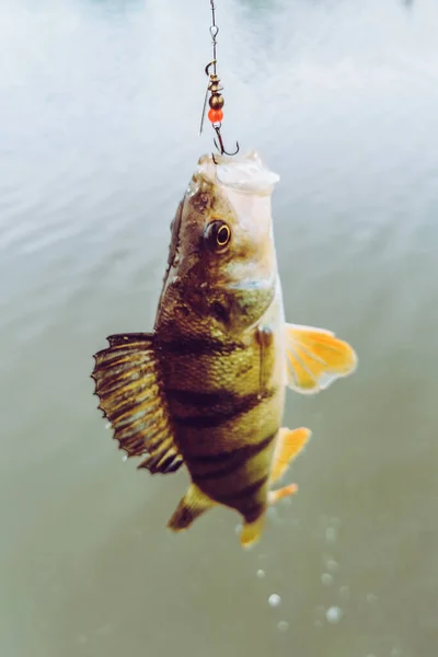 Rybaření Přírodě Jezera Rekreační Zázemí — Stock fotografie