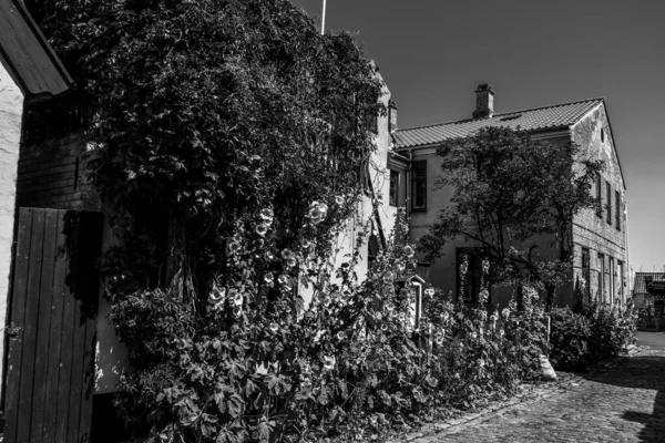 Schöne Dänische Architektur Einem Malerischen Dorf — Stockfoto