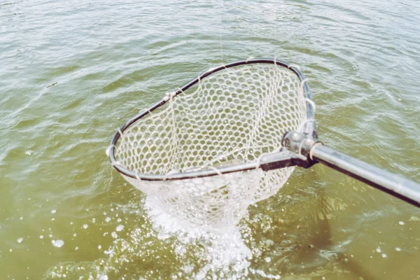 Pesca Truchas Lago Pesca Recreación — Foto de Stock