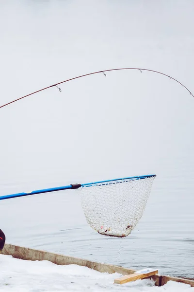 Pesca Truchas Fondo Del Lago — Foto de Stock