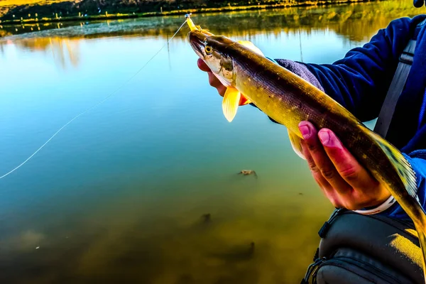 Pesca Pesca Lago — Foto de Stock