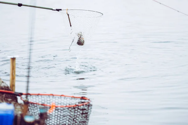 Pesca Alla Trota Sul Lago — Foto Stock