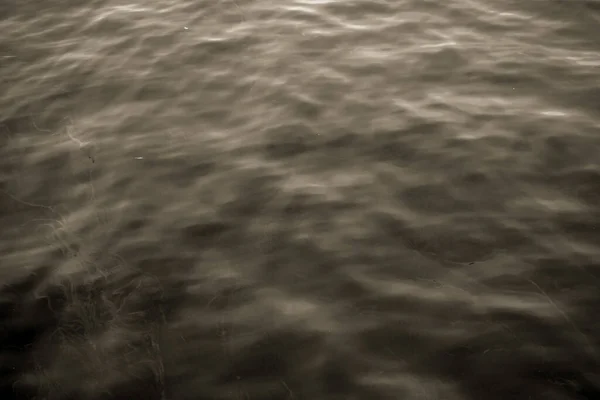 Schöne Unterwasserwelt Der Fische Algen Meer — Stockfoto