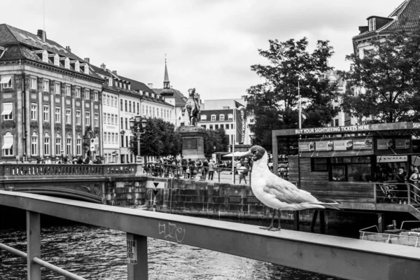 デンマークのコペンハーゲン市 美しい夏の日 — ストック写真