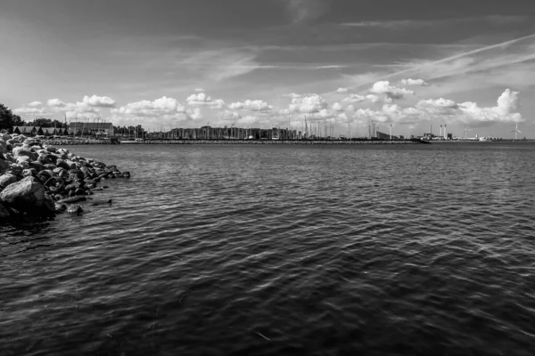 Beau Monde Sous Marin Algues Marines Poissons — Photo