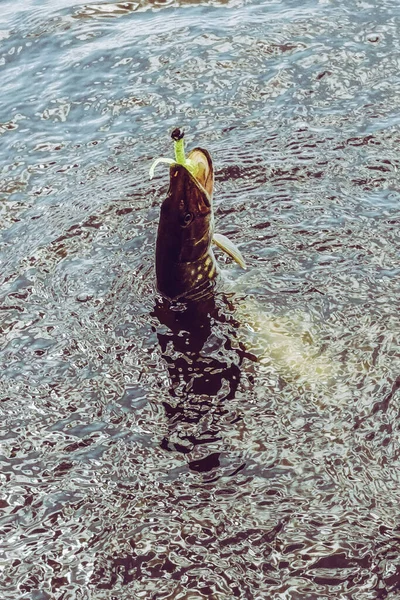 Pesca Descanso Rural Antecedentes Sobre Tema Recreação — Fotografia de Stock