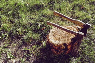 Gölde balık avlamak. Balıkçılık eğlencesi