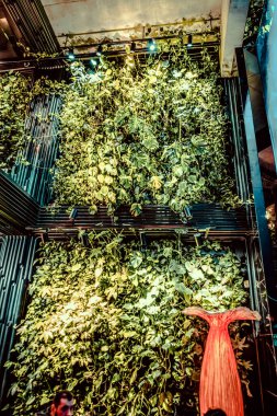 İç kısımda taze çiçekler var.