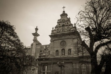 Muhteşem kış Lviv mimarisi ve sokakları