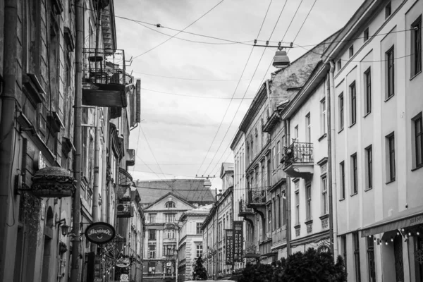 Prachtige Winter Lviv Architectuur Straten — Stockfoto