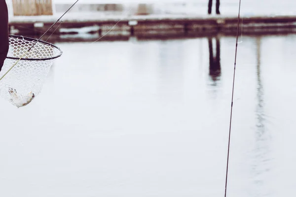 Pesca Truta Fundo Lago — Fotografia de Stock