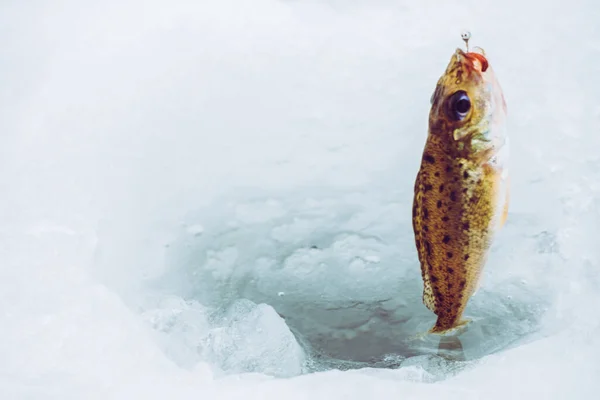 Inverno Fundo Pesca Gelo — Fotografia de Stock