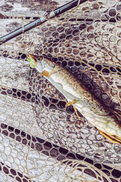 Pesca Descanso Rural Antecedentes Sobre Tema Recreação — Fotografia de Stock