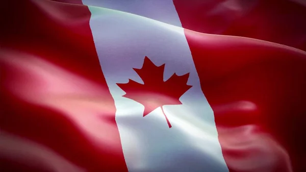 Kanadská Vlajka Drapeau Canada — Stock fotografie