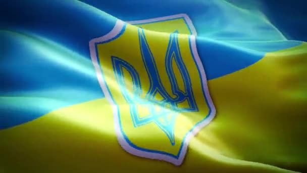 Staatsflagge Der Ukraine Flagge Der Ukraine — Stockvideo