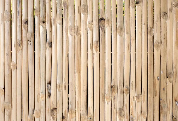 Dry bamboo fence background — Stock Photo, Image
