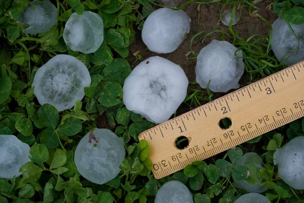 Hagelkörner nach schwerem Sommersturm — Stockfoto