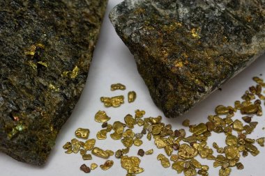 Yüksek dereceli altın cevheri ve California plaser altın Nuggets