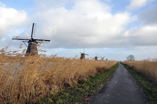 Een rij van windmolens — Stockfoto