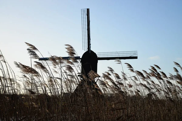 Beautiful windmill in Kinderdijk — Stock Photo, Image