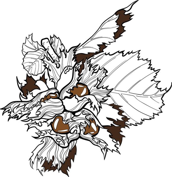 Hazelnut, filbert branch with leaves vector handdraw