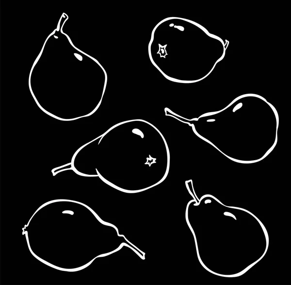 Vector hand drawn pears. Sketch of pears — Stock Vector