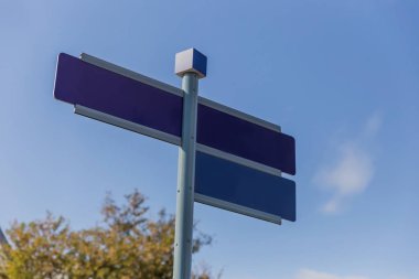 Bilgi. Mavi gökyüzü ve ağaç zemininde mavi boş yön göstergesi