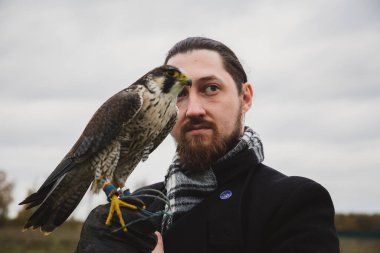 Şahin konsepti. Avrupalı görünümlü, sakallı, uzun saçlı, deri eldivenli ve elinde güzel bir şahin olan bir adam. Bir tarlanın arka planında, manzara