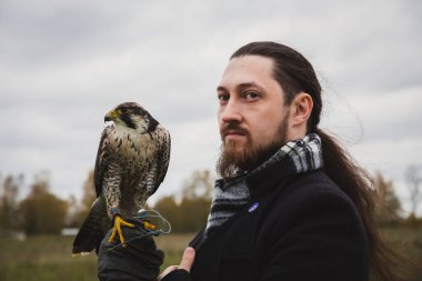 Şahin konsepti. Avrupalı görünümlü, sakallı, uzun saçlı, deri eldivenli ve elinde güzel bir şahin olan bir adam. Bir tarlanın arka planında, manzara
