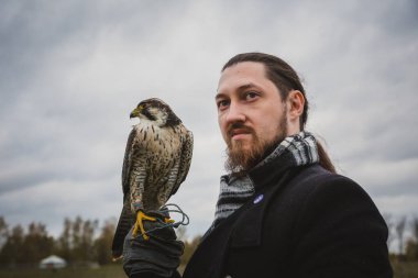 Şahin konsepti. Avrupalı görünümlü, sakallı, uzun saçlı, deri eldivenli ve elinde güzel bir şahin olan bir adam. Bir tarlanın arka planında, manzara