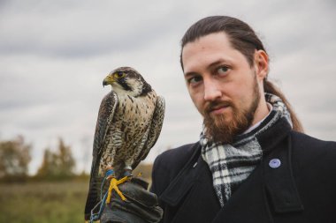 Şahin konsepti. Avrupalı görünümlü, sakallı, uzun saçlı, deri eldivenli ve elinde güzel bir şahin olan bir adam. Bir tarlanın arka planında, manzara