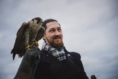Şahin konsepti. Deri eldivenli Avrupalı bir adam ve güzel bir Falcon handonun üzerinde kestane, kırmızı ve kırmızı bir at. Bir tarlanın arka planında, manzara
