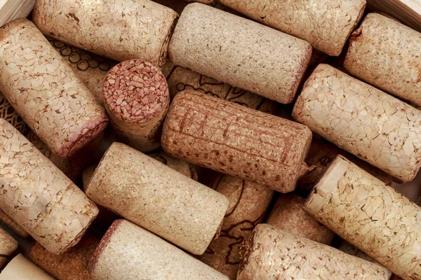 Sammeln Sie leere Weinstopfen. Ein Glas Rotwein vor dem Abendessen — Stockfoto