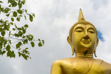 Tayland tapınağındaki Buda heykeli.