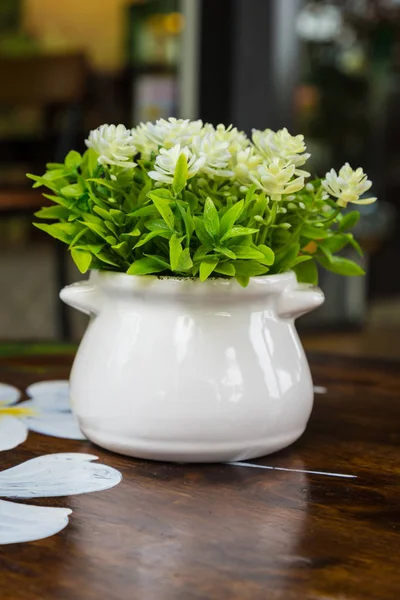 白い植木鉢 — ストック写真