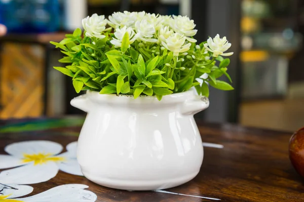 Vasos de flores brancas — Fotografia de Stock