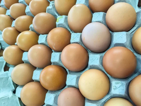 egg packages in cardboard tray