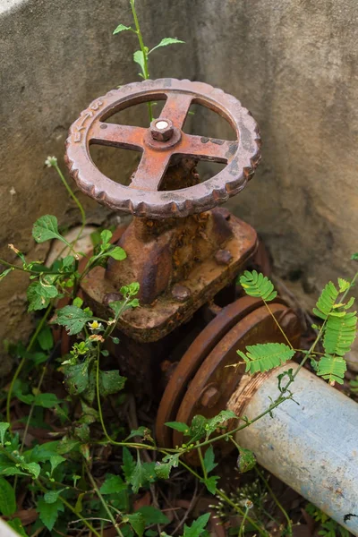 Old Gate valve — Stock Photo, Image